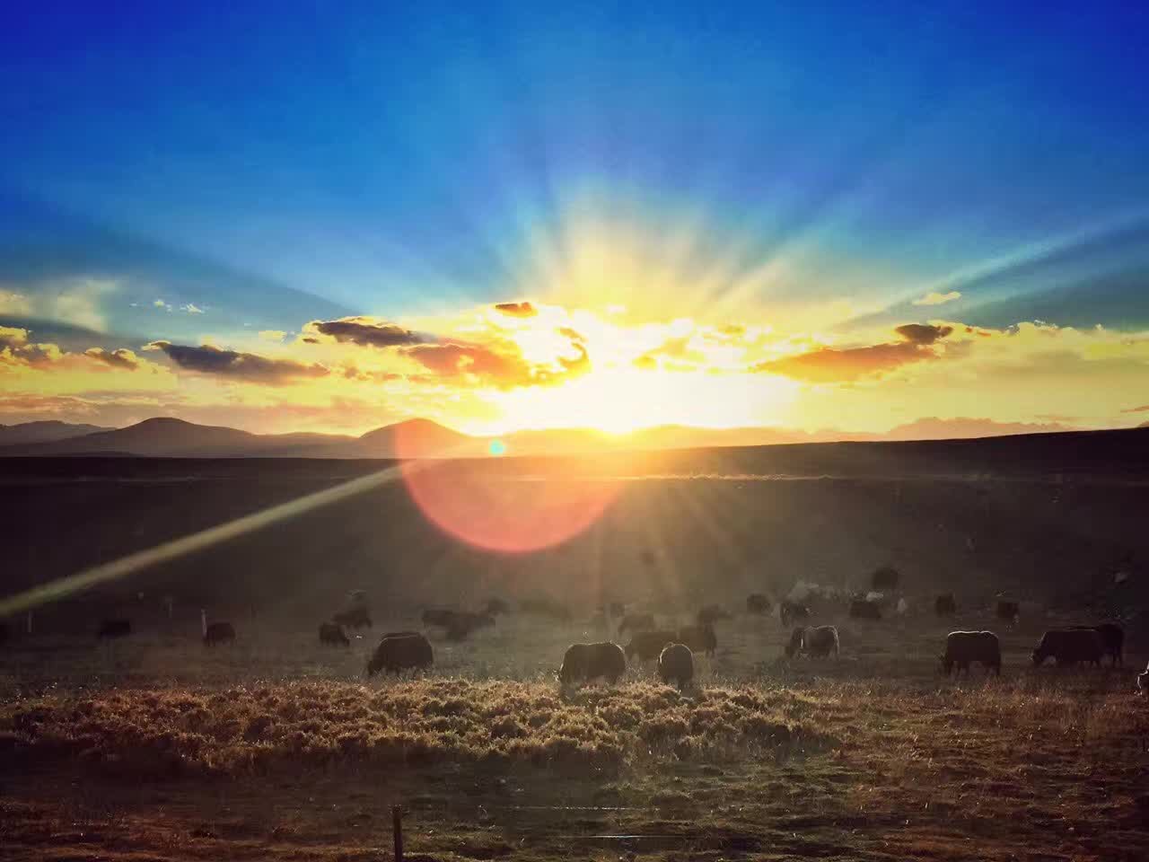 1477550978863453APCS.jpg 叶扬1秋夕.jpg