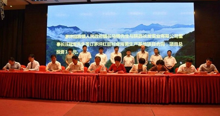 1496707239217962R290.jpg 镇安签约仪式.jpg