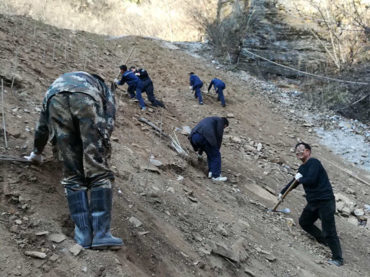 1520231113464789hcTC.jpg 绿植.jpg