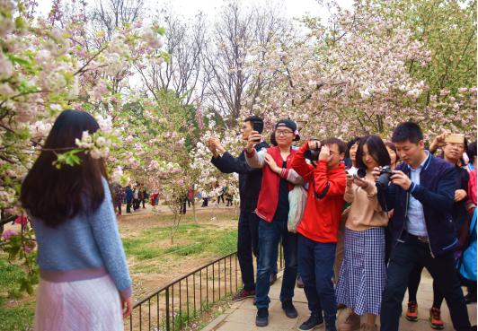 1522399801824022LUk3.jpg 图片1.jpg