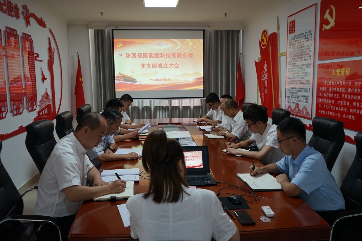 1596759810746232NzIo.jpg 党支部成立大会现场.JPG