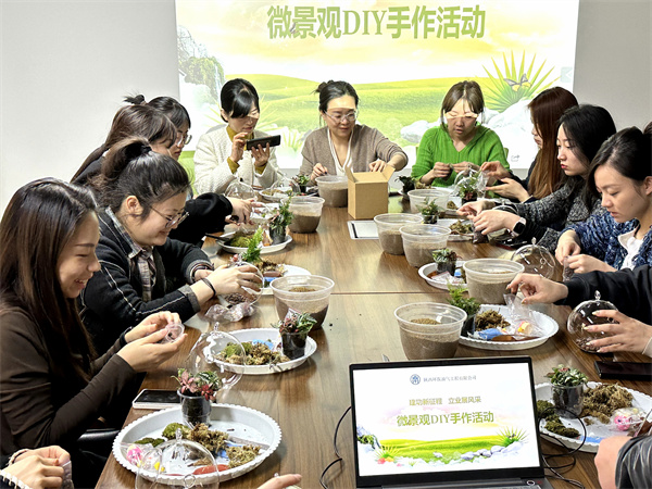 1678668970170709w6W3.jpg 手作微景观照片1.jpg